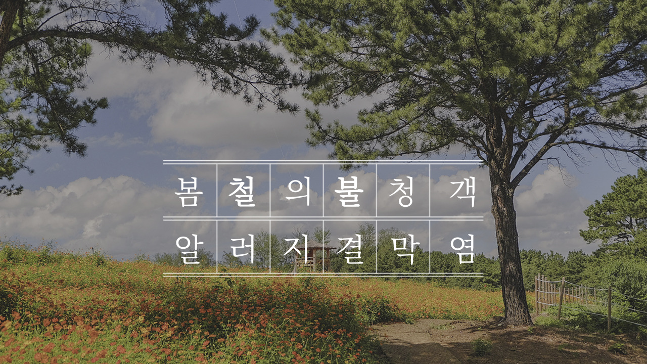 결막염